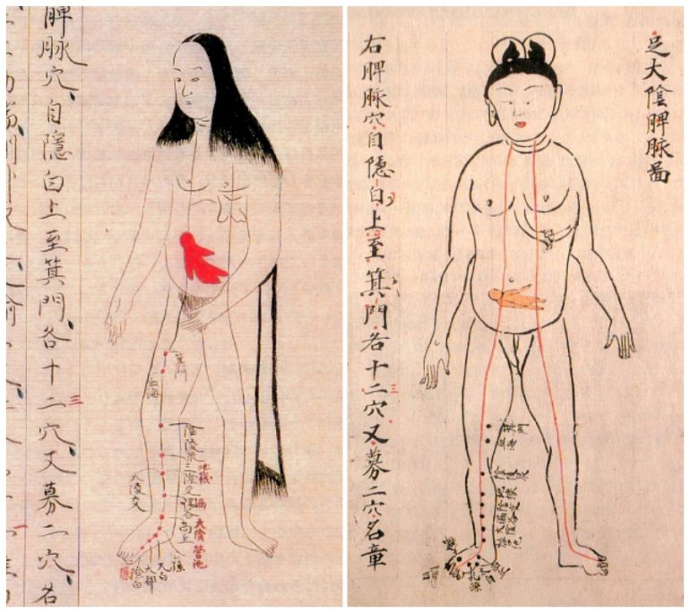 История медицины — анатомия в Японии 1