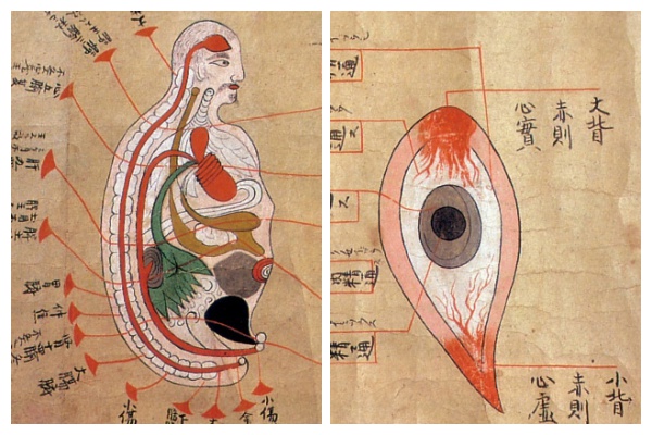 История медицины — анатомия в Японии 2