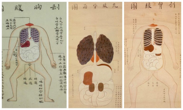 История медицины — анатомия в Японии 4