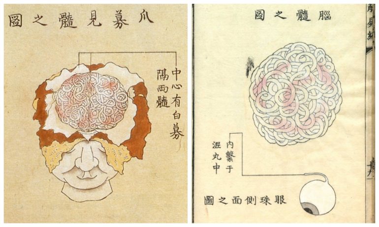 История медицины — анатомия в Японии 5