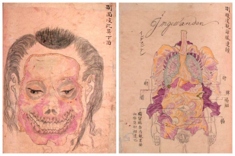 История медицины — анатомия в Японии 6