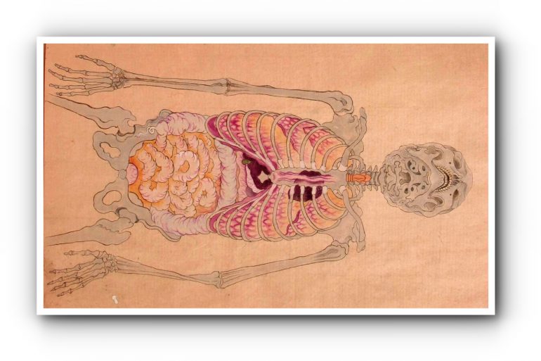 История медицины — анатомия в Японии 10