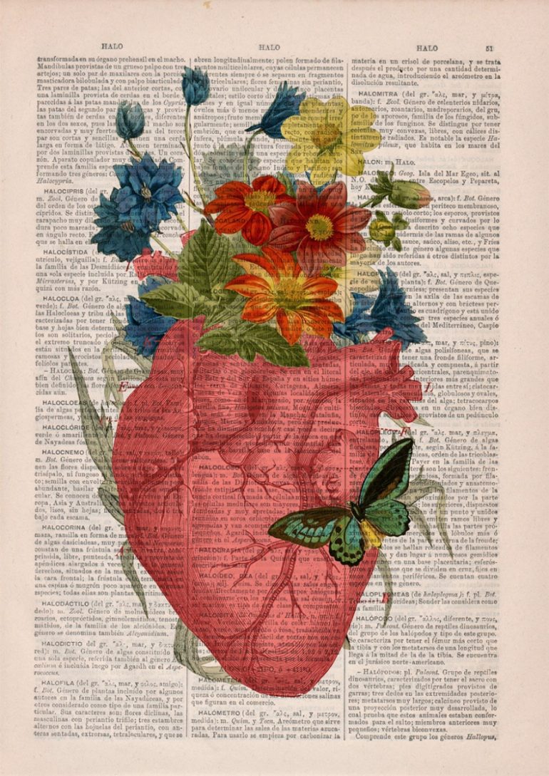 Анатомия и цветы 5